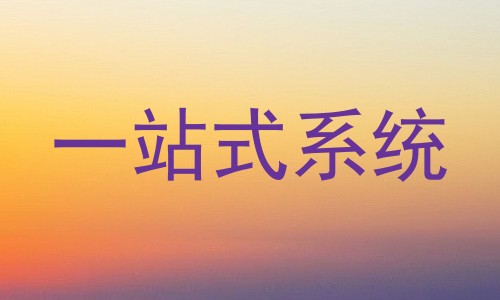 一站式系统
