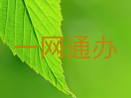 一网通办