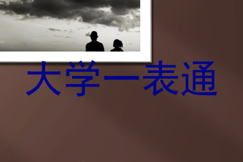 大学一表通