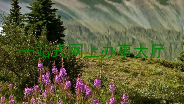 一站式网上办事大厅