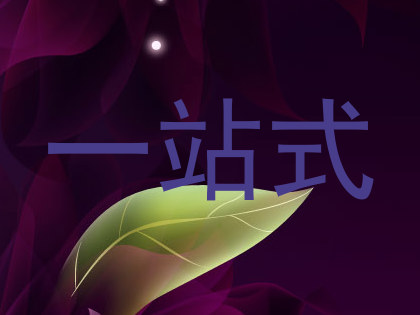 一站式