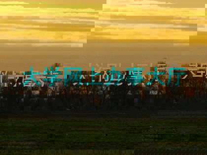 大学网上办事大厅