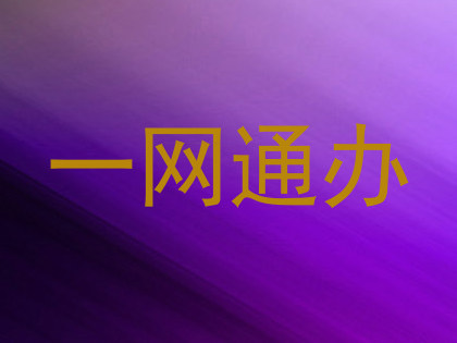 一网通办