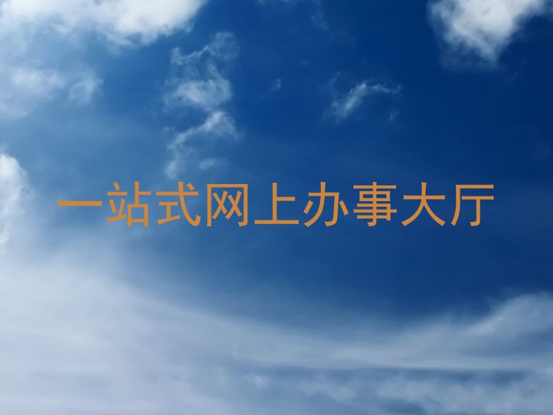 一站式网上办事大厅