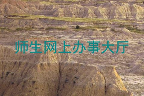 师生网上办事大厅