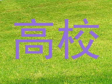 高校