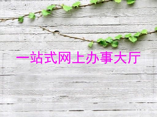 一站式网上办事大厅