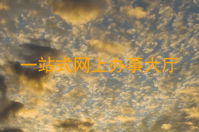 一站式网上办事大厅