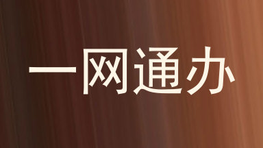 一网通办