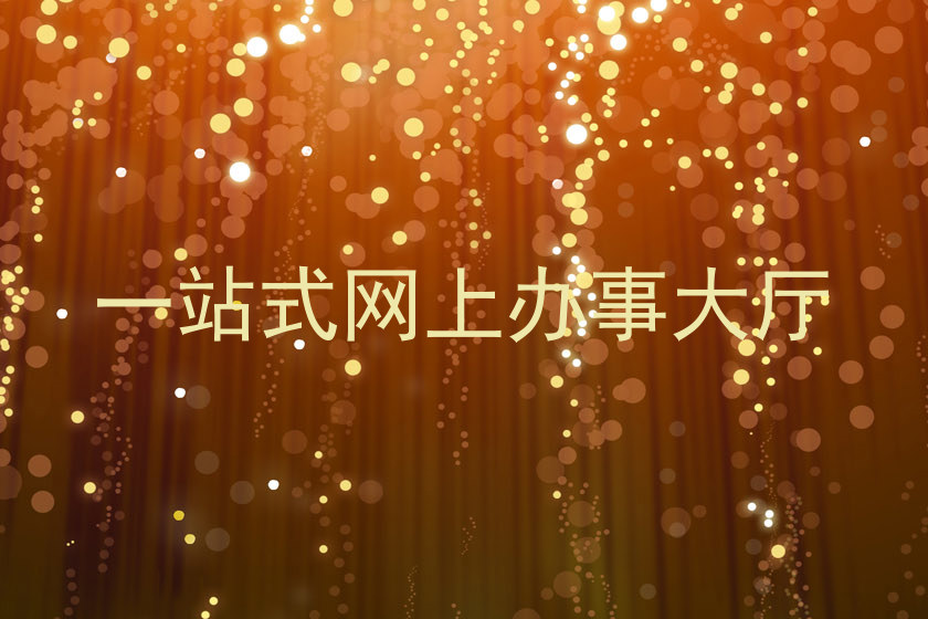 一站式网上办事大厅