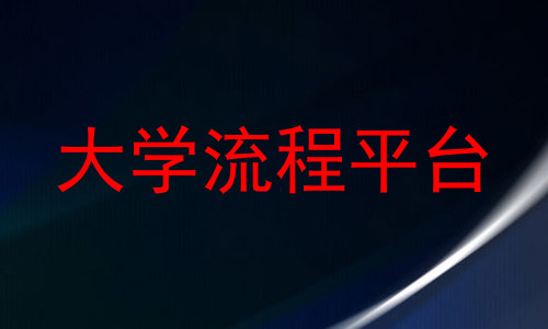 大学流程平台