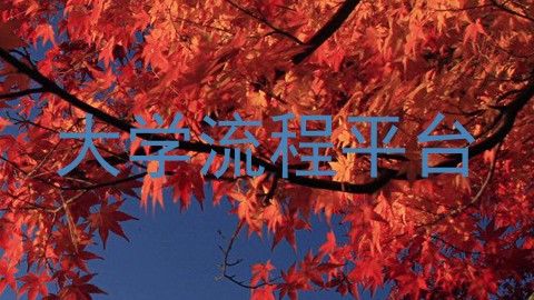 大学流程平台