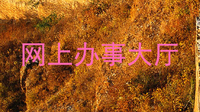 网上办事大厅