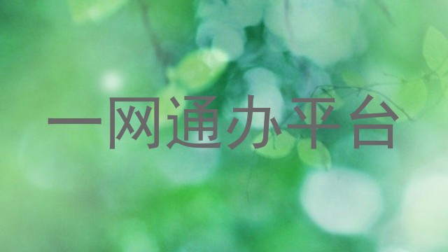 一网通办平台