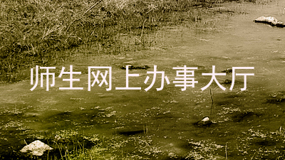 师生网上办事大厅