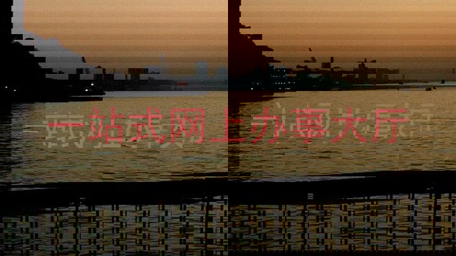 一站式网上办事大厅