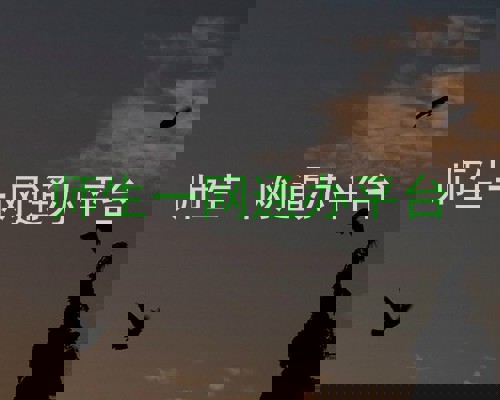 师生一网通办平台