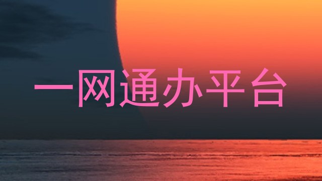 一网通办平台