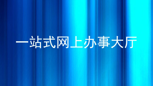 一站式网上办事大厅