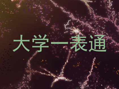 大学一表通