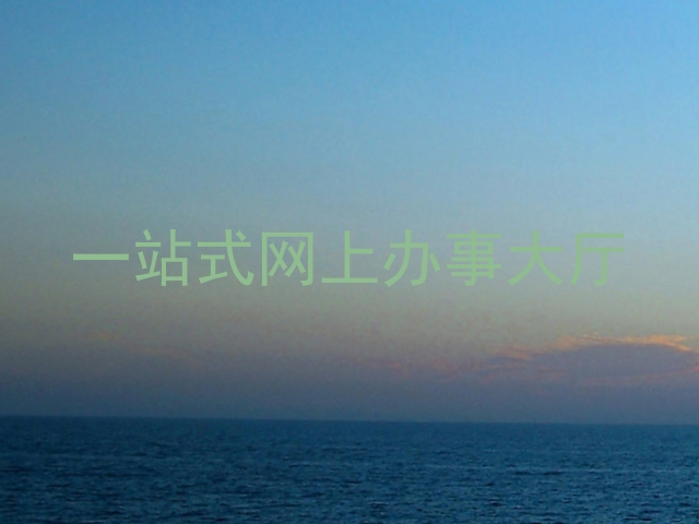 一站式网上办事大厅