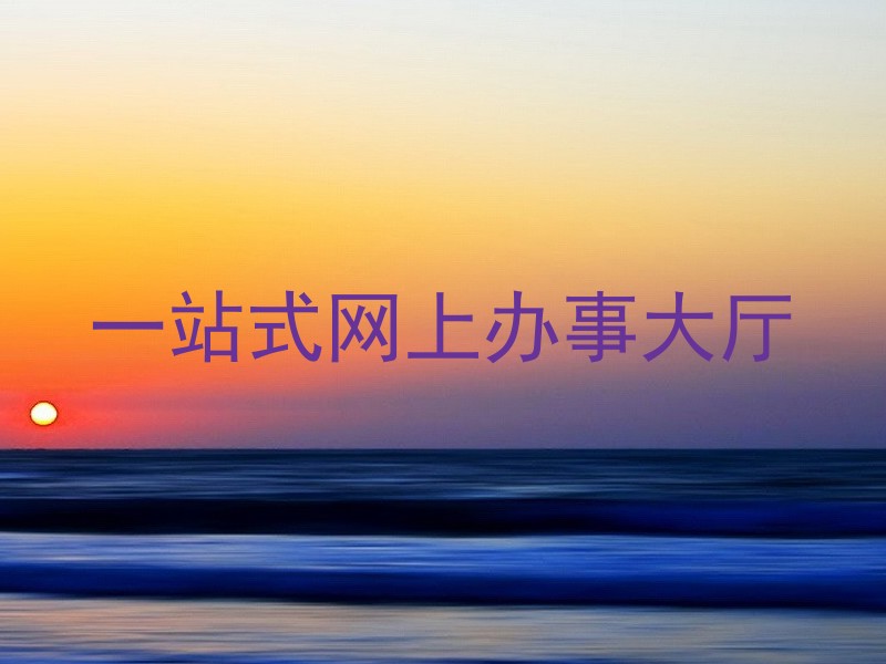 一站式网上办事大厅