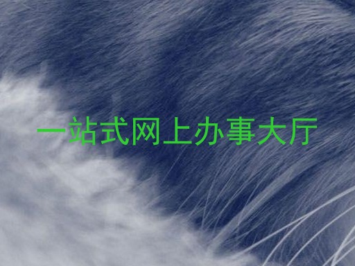 一站式网上办事大厅