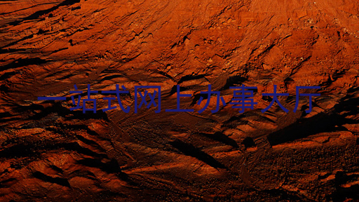 一站式网上办事大厅