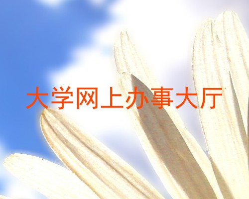 大学网上办事大厅