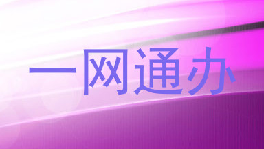 一网通办