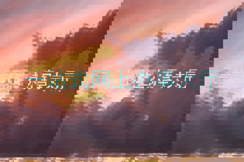 一站式网上办事大厅