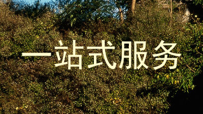 一站式服务
