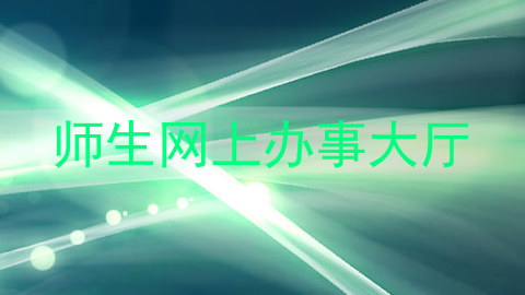 师生网上办事大厅