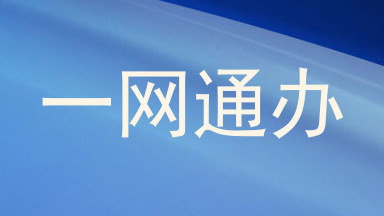 一网通办