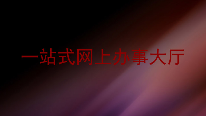 一站式网上办事大厅