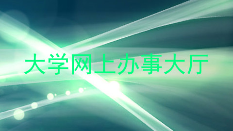 大学网上办事大厅