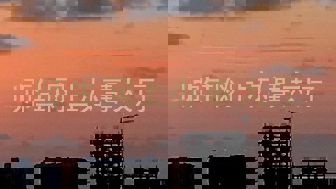 师生网上办事大厅