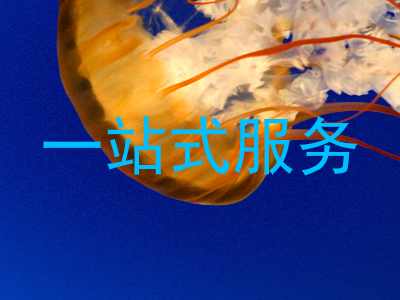一站式服务