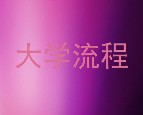 大学流程