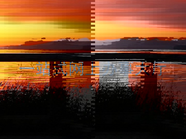 一站式网上办事大厅