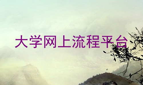 大学网上流程平台