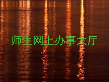 师生网上办事大厅