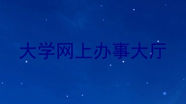 大学网上办事大厅