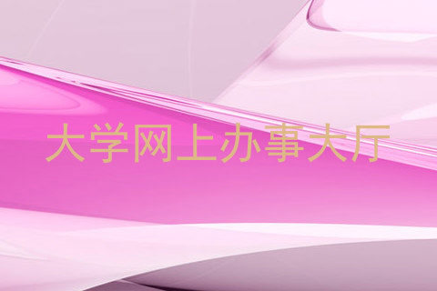 大学网上办事大厅