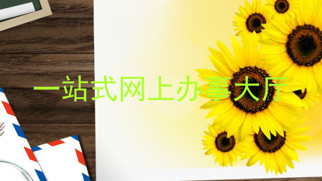 一站式网上办事大厅