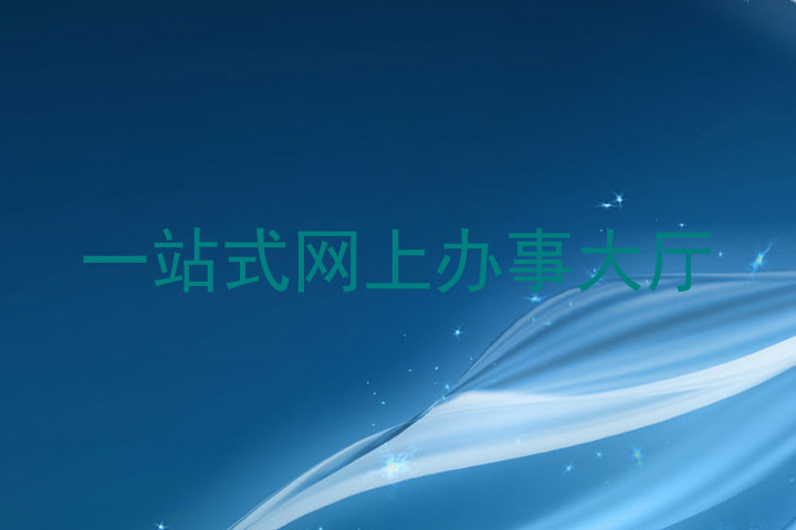 一站式网上办事大厅