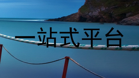 一站式平台