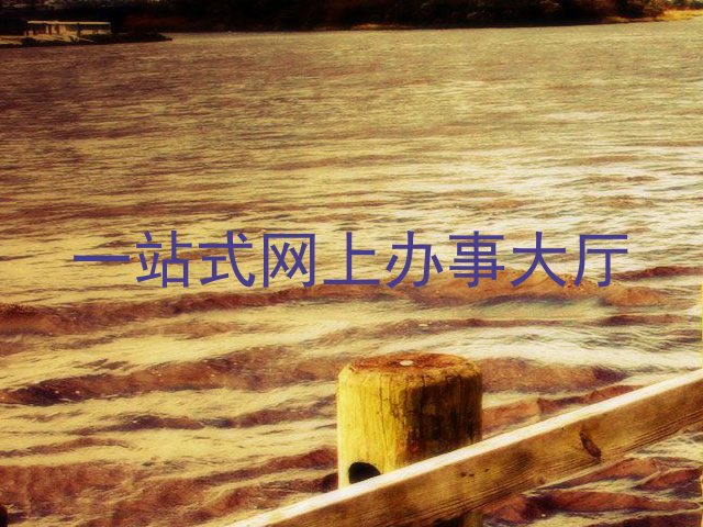 一站式网上办事大厅