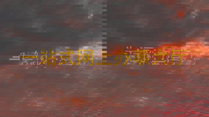 一站式网上办事大厅