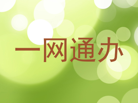 一网通办